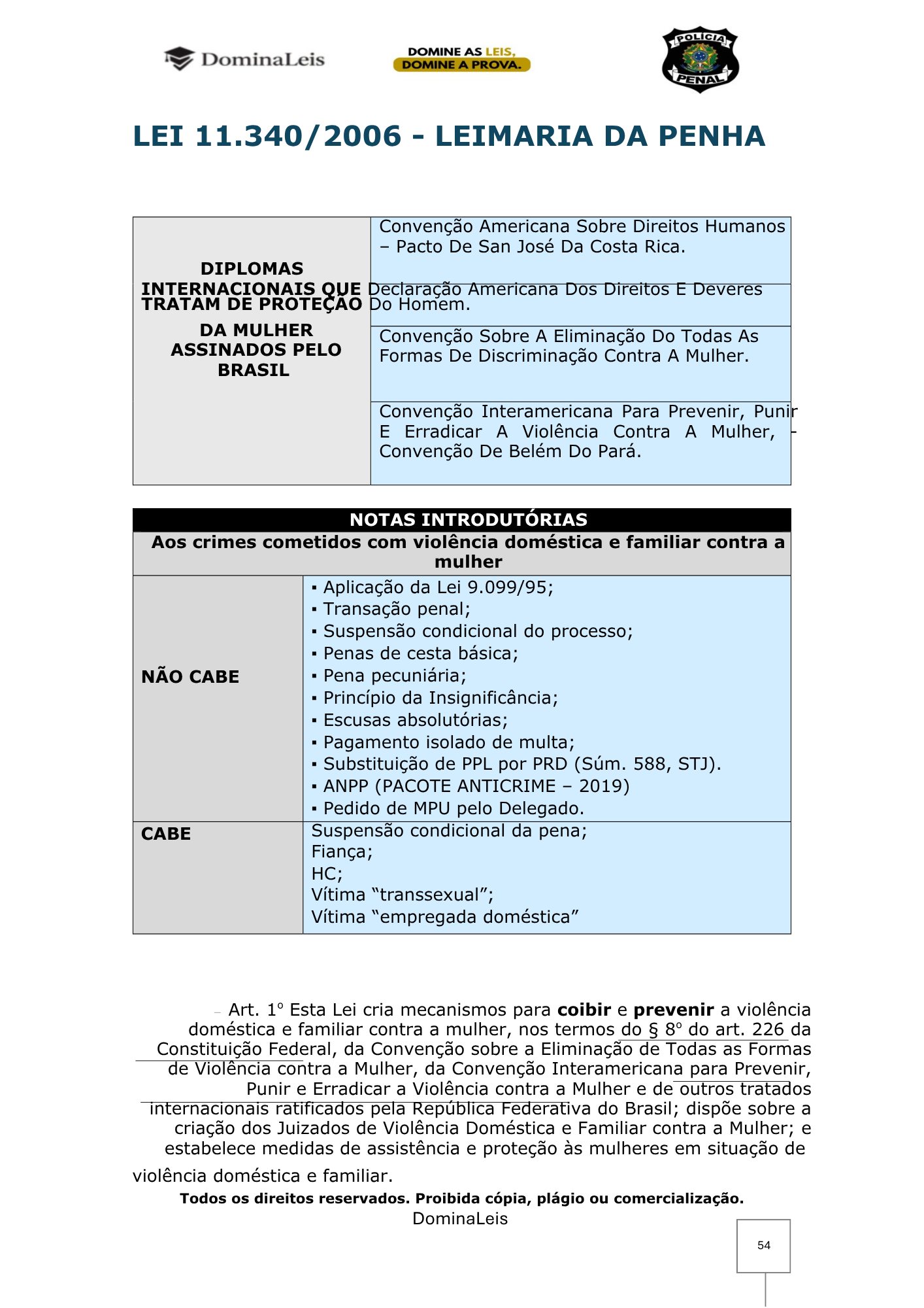 RESUMO LEGISLAÇÃO EXTRAVAGANTE - PP.pdf (2)